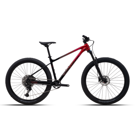 VTT Polygon 29p X Trada 6 L