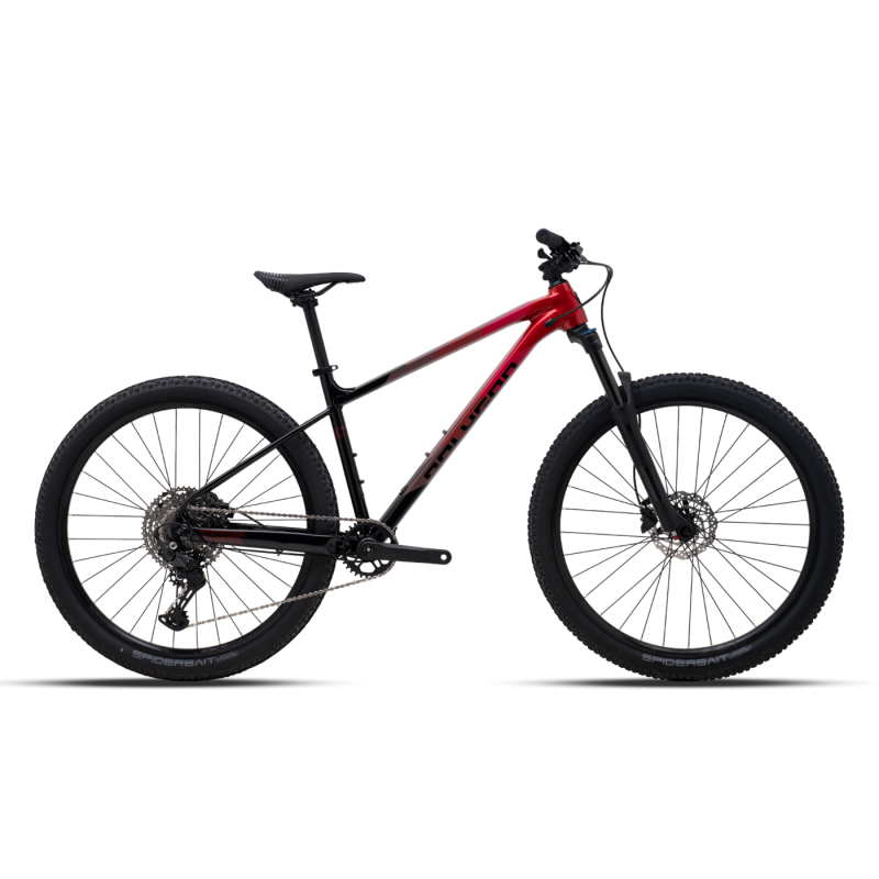 VTT Polygon 29p X Trada 6 L