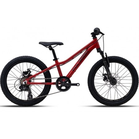 VTT Enfant Polygon 20p