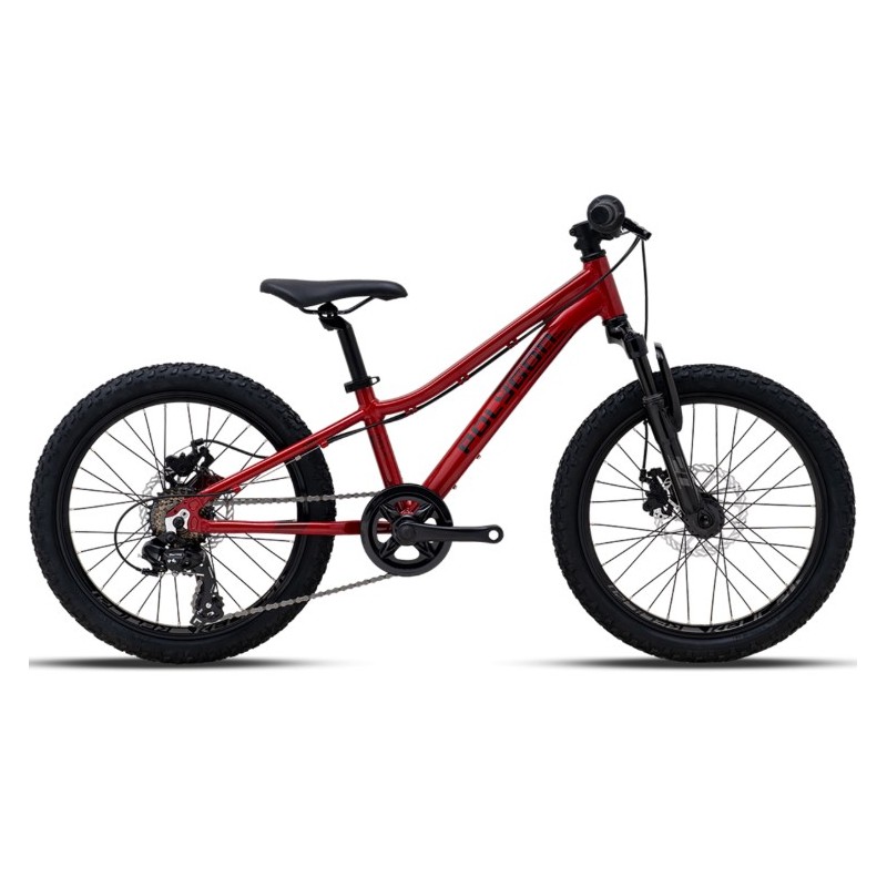 VTT Enfant Polygon 20p