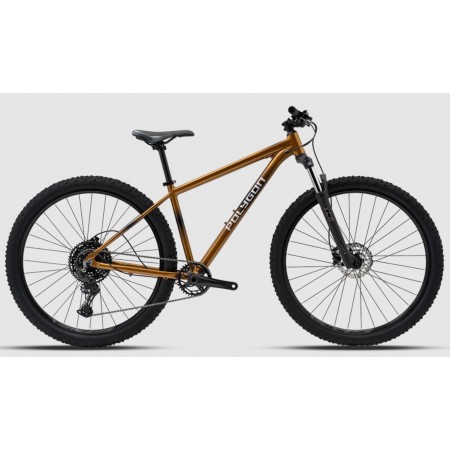VTT Polygon 29p cascade 5 taille M