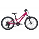 VTT Enfant Liv Tempt 20