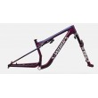 KIT CADRE SPECIALIZED EPIC 9 S WORKS XL