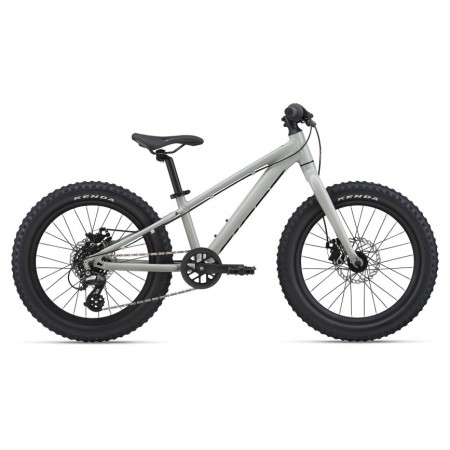 VTT Enfant Giant STP 20 2021