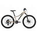 VTT Enfant Giant XTC Junior 24P