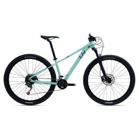 VTT Liv Tempt 29.2 taille S