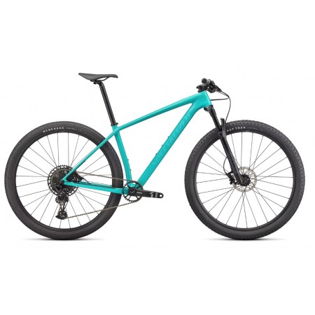 VTT Specialized Epic Hardtail carbon Taille L